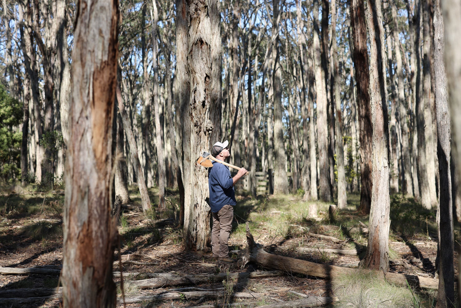 Engineered for Axemen